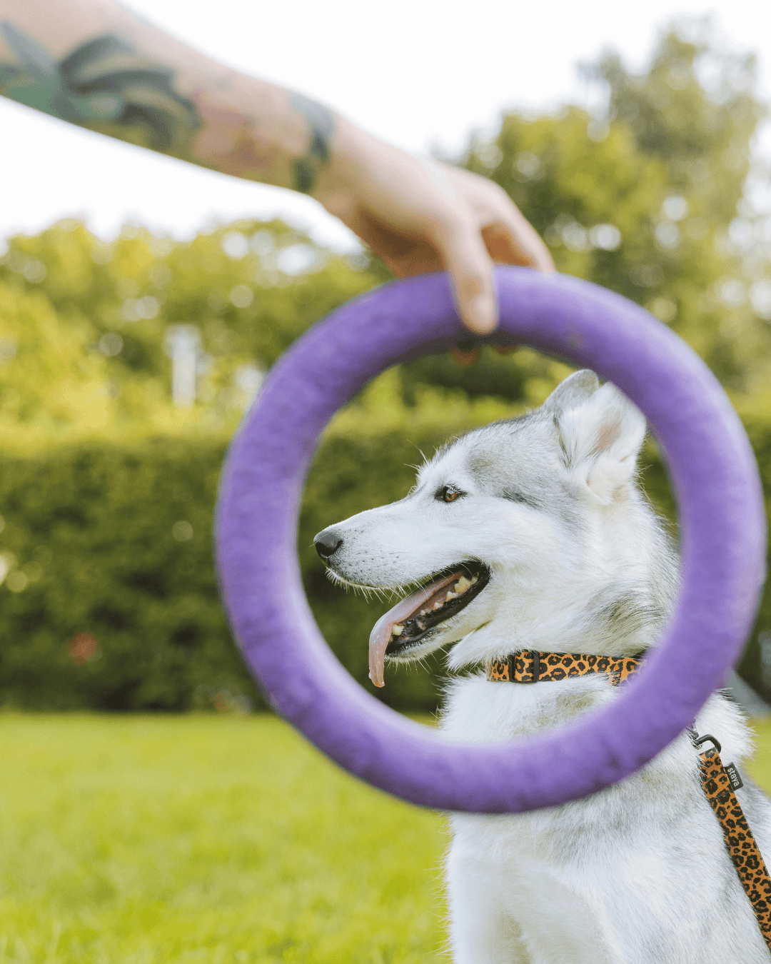 Gear - The Raven Shop 