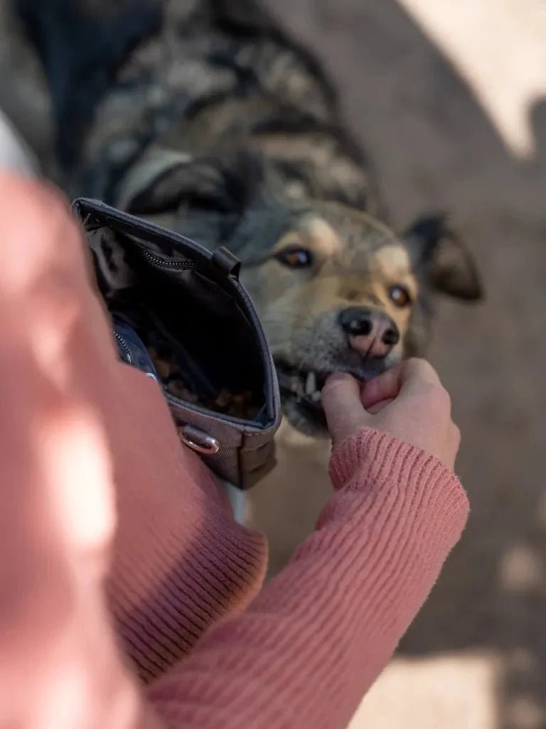 Trendpet Snaxx trainingstasje Grey - The Raven Shop