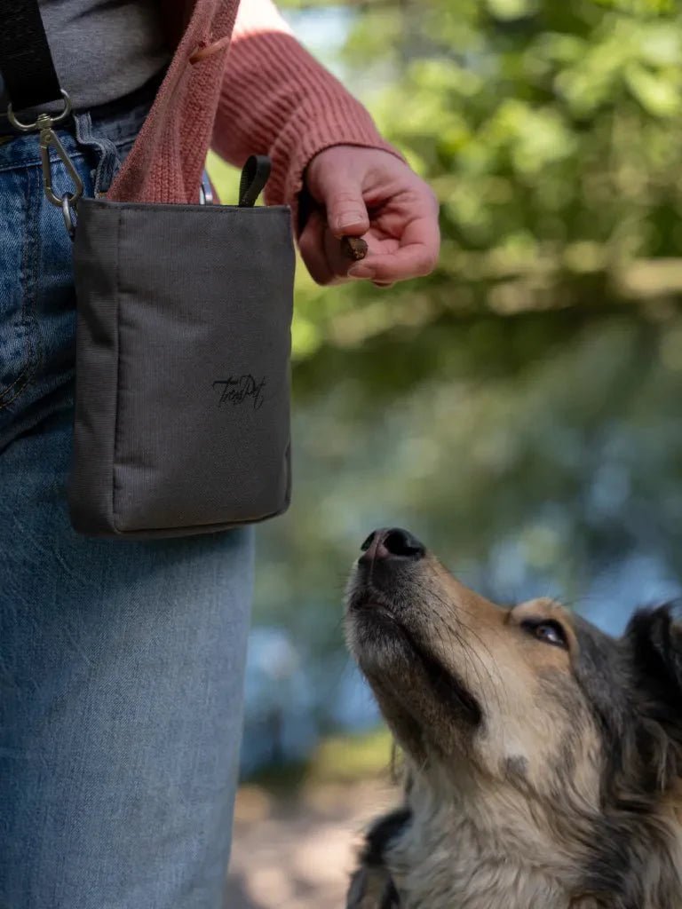 Trendpet Snaxx trainingstasje Grey - The Raven Shop